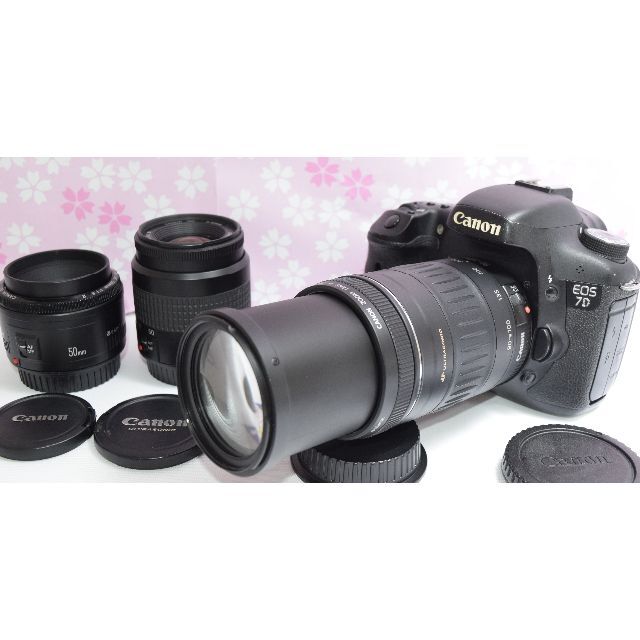 ☆Canon☆EF 55-200mm Ⅱ USM☆定番望遠レンズ！☆初心者必見☆