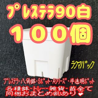 【スリット鉢】プレステラ90白100個 多肉植物 プラ鉢(プランター)