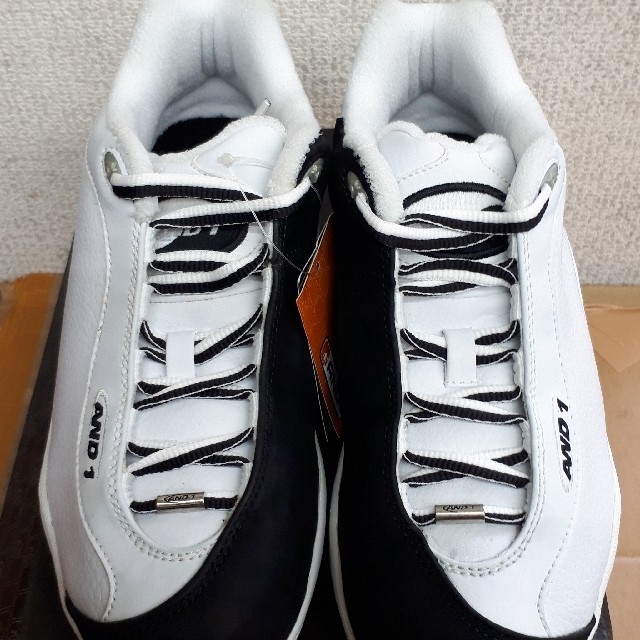 AND 1 TAI CHI タイチミッド 25.5センチ - luizaannaresidencial.com.br
