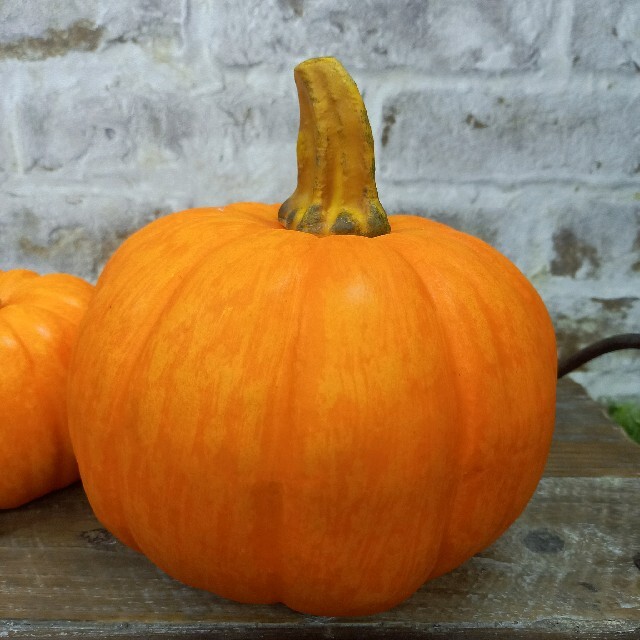 ハロウィンかぼちゃ　2個セット インテリア/住まい/日用品のインテリア小物(置物)の商品写真
