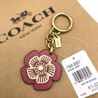 コーチ(COACH) カラフルの通販 700点以上 | コーチを買うならラクマ