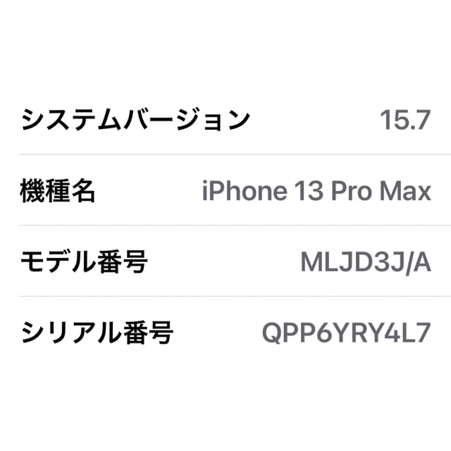 2022最新作】 Pro iPhone13 Max SIMフリー シエラブルー 256GB 