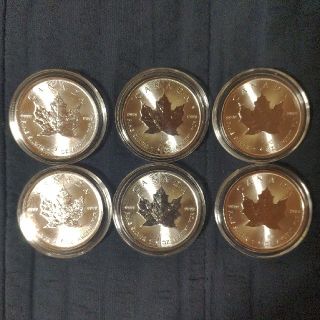 philakaz様専用　　メイプルリーフ銀貨　6枚セット(貨幣)