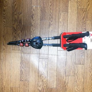 並行輸入品　MSR DynaLock Explore Poles(登山用品)