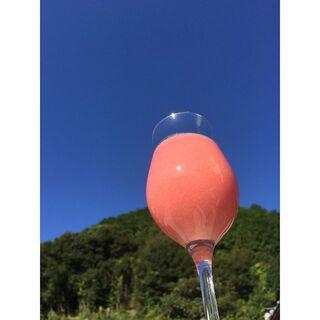 SDGｓな有機グァバ果実100％使用【冷凍】グァバ果実ピューレ　500ｇ(菓子/デザート)