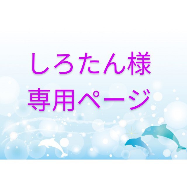 しろたん様 専用ページになります✧⁠*⁠。 最終値下げ