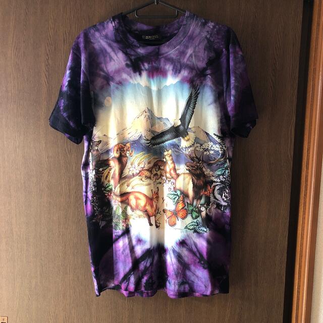 USA製 Chapman GRaphics Tシャツ タイダイ柄 メンズM メンズのトップス(Tシャツ/カットソー(半袖/袖なし))の商品写真