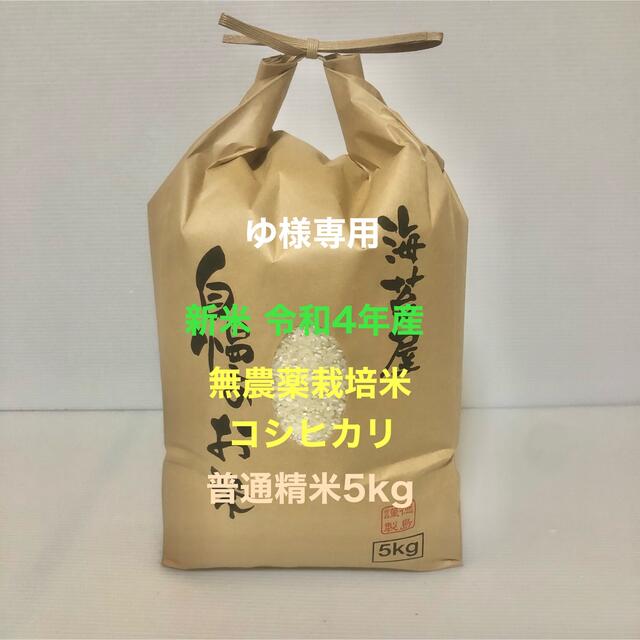 ゆ様専用 新米 無農薬コシヒカリ普通精米5kg 令和4年 徳島県産の通販 by U-KO's shop｜ラクマ