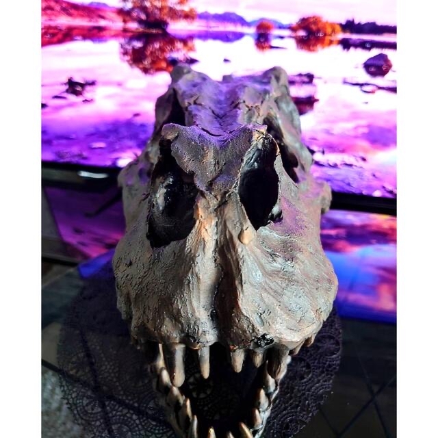 IKEA(イケア)の大迫力✨  ティラノサウルス T-REX 頭骨 化石 オブジェ レプリカ インテリア/住まい/日用品のインテリア小物(置物)の商品写真