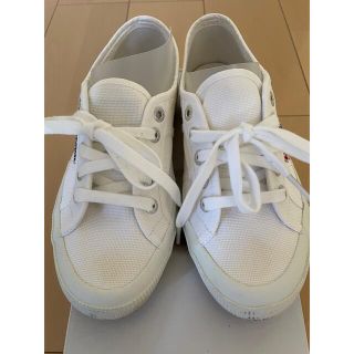 スペルガ(SUPERGA)のスペルガ　スニーカー　レディース(スニーカー)