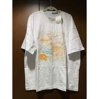 フラボア(FRAPBOIS)の☆新品☆FRAPBOIS カットソー(Tシャツ(半袖/袖なし))