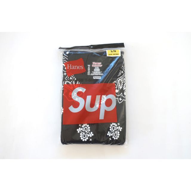 (L)Supreme Hanes Bandana Tagless Tee2枚組トップス