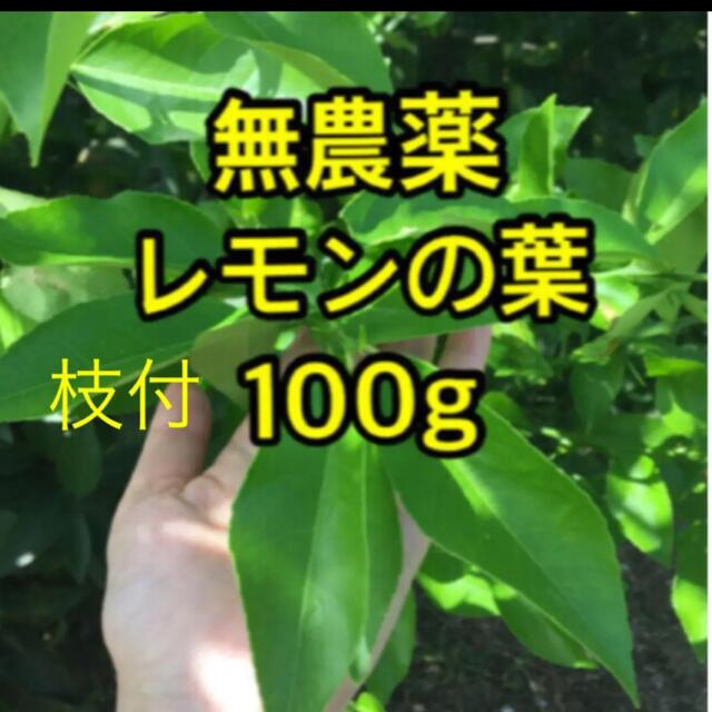 無農薬レモンの葉 枝付100gの通販 by sowa｜ラクマ