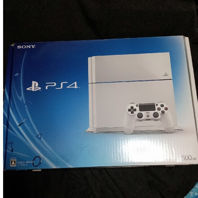 SONY PlayStation4 本体 CUH-1100AB02