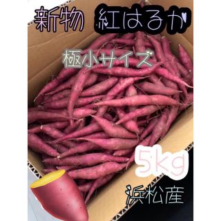 極小サイズ  紅はるか 5キロ サツマイモ さつまいも 5kg (野菜)