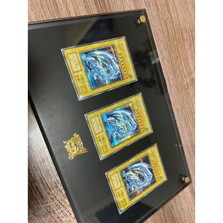 レリブル 海馬セット