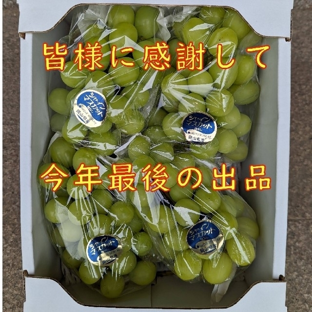 【10月9日迄：今年最後の感謝価格】岡山県産シャインマスカット2kg✕2箱