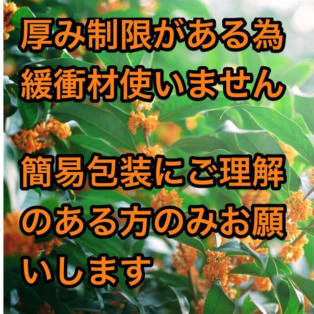 小林製薬(コバヤシセイヤク)のサワデー香るスティック/金木犀キンモクセイ/芳香剤/詰め替え/つめ替用/3箱  インテリア/住まい/日用品のインテリア小物(置物)の商品写真