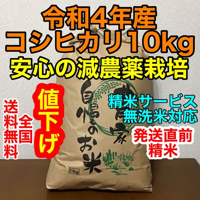 新米コシヒカリ10kg茨城県産◉無洗米・白米対応