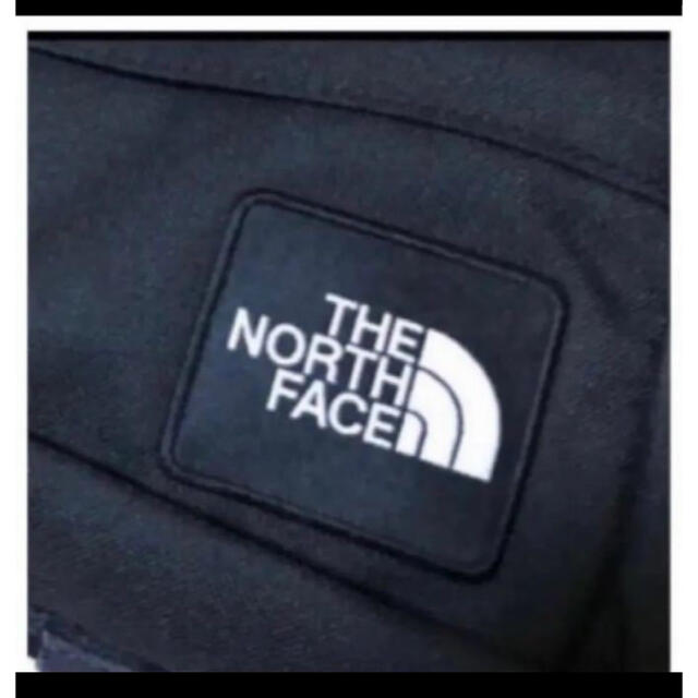 THE NORTH FACE(ザノースフェイス)の【未開封新品】ノースフェイス　ボディーバッグ　グラフィックロゴ　2L 男女兼用 レディースのバッグ(ボディバッグ/ウエストポーチ)の商品写真