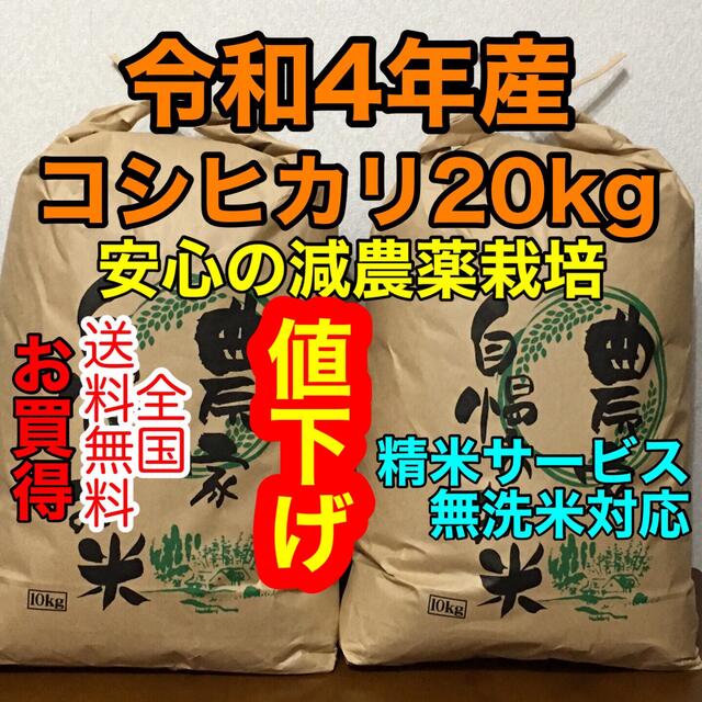 新米コシヒカリ20kg茨城産◉無洗米対応コシヒカリ