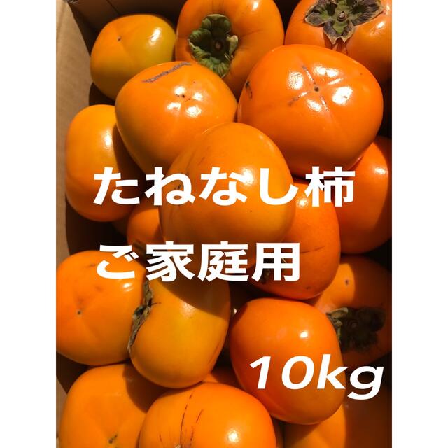 たねなし柿　10kg 食品/飲料/酒の食品(フルーツ)の商品写真