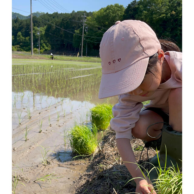 【 新米 令和4年度 岐阜県産】 コシヒカリ　1キロ 食品/飲料/酒の食品(米/穀物)の商品写真