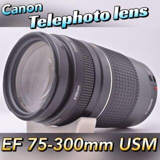 Canon - ✨大迫力の望遠レンズ ✨キヤノン Canon EF 100-300mmの通販 