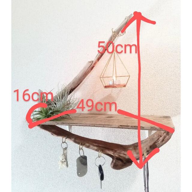 流木インテリア 流木 シェルフ 飾り棚 玄関棚 西海岸インテリア ハンドメイドのインテリア/家具(インテリア雑貨)の商品写真