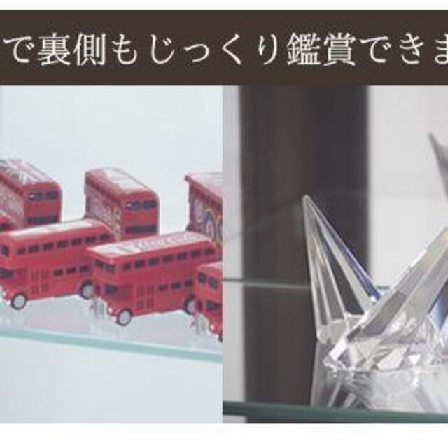 塩川光明堂 ガラスケース ブラウン 41x24.5x150cm カルトーネ スカーラ
