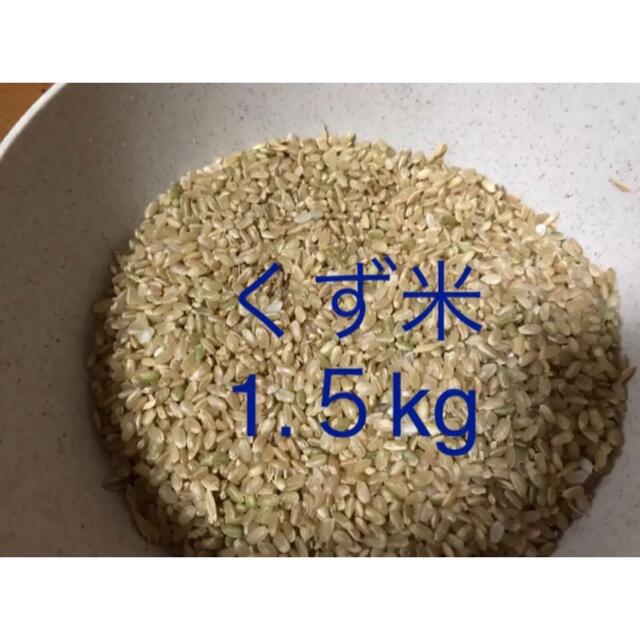 くず米 1.5kg エサ米 玄米 | marshfieldhurricanes.com