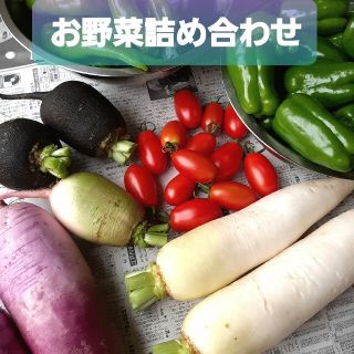 ☆お野菜詰め合わせ☆ 今朝採り お野菜セット ゆうパック 70サイズ(野菜)