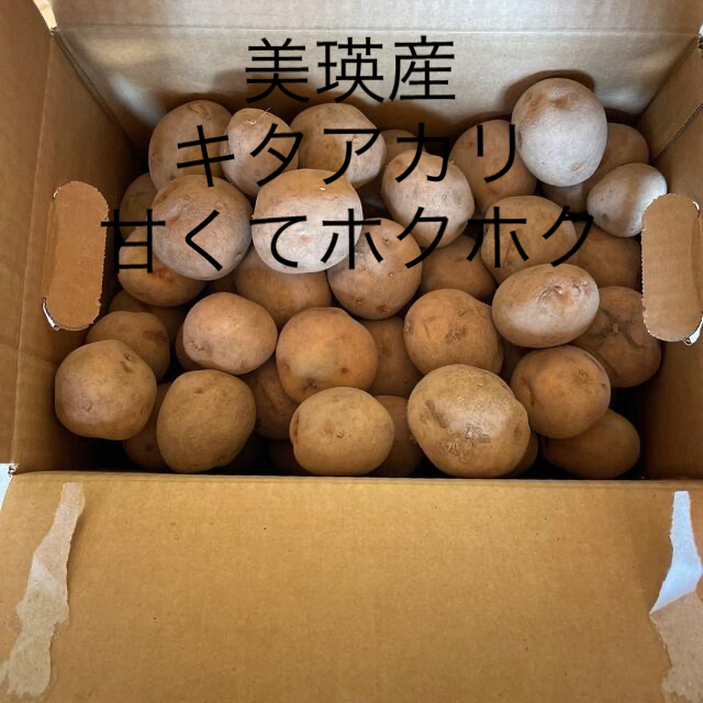 北海道美瑛産北あかり10キロ(箱込) 食品/飲料/酒の食品(野菜)の商品写真