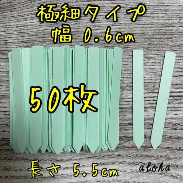 ミント　50枚 多肉植物 アガベ サボテンに◎ 園芸用 ラベル ネームラベル ハンドメイドのフラワー/ガーデン(その他)の商品写真