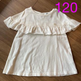 サンカンシオン(3can4on)の女の子半袖　120(Tシャツ/カットソー)