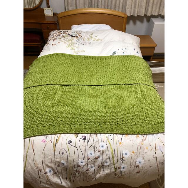 ZARA HOME(ザラホーム)のZARA HOME シェニールニットブランケット インテリア/住まい/日用品の寝具(毛布)の商品写真