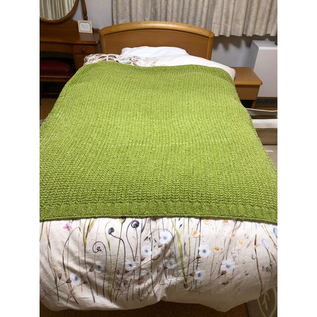 ZARA HOME(ザラホーム)のZARA HOME シェニールニットブランケット インテリア/住まい/日用品の寝具(毛布)の商品写真