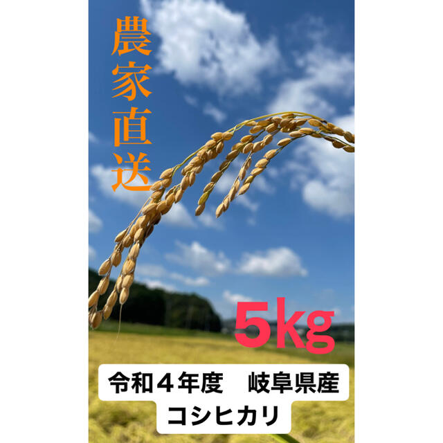 【 新米 令和4年度岐阜県産】 5キロ　コシヒカリ 食品/飲料/酒の食品(米/穀物)の商品写真