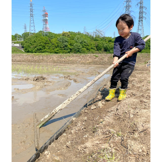 【令和4年岐阜県産　新米】コシヒカリ　10キロ 食品/飲料/酒の食品(米/穀物)の商品写真