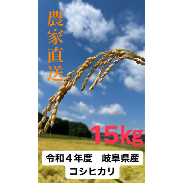 令和4年岐阜県産　新米】コシヒカリ　15キロ　米/穀物