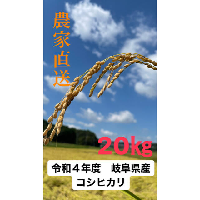 【令和4年岐阜県産　新米】コシヒカリ　20キロ 食品/飲料/酒の食品(米/穀物)の商品写真