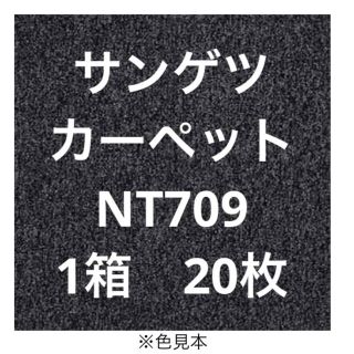 サンゲツ タイルカーペット 色  NT709(カーペット)