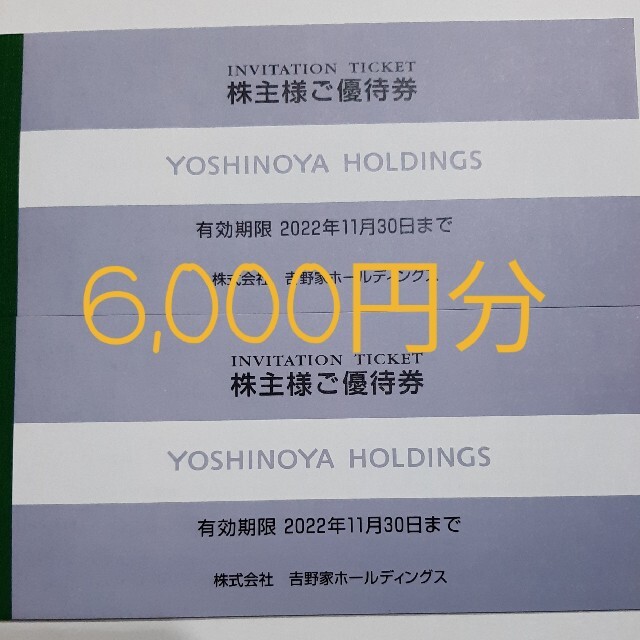 吉野家　株主優待　２冊　6000円分　2021年11月30日迄