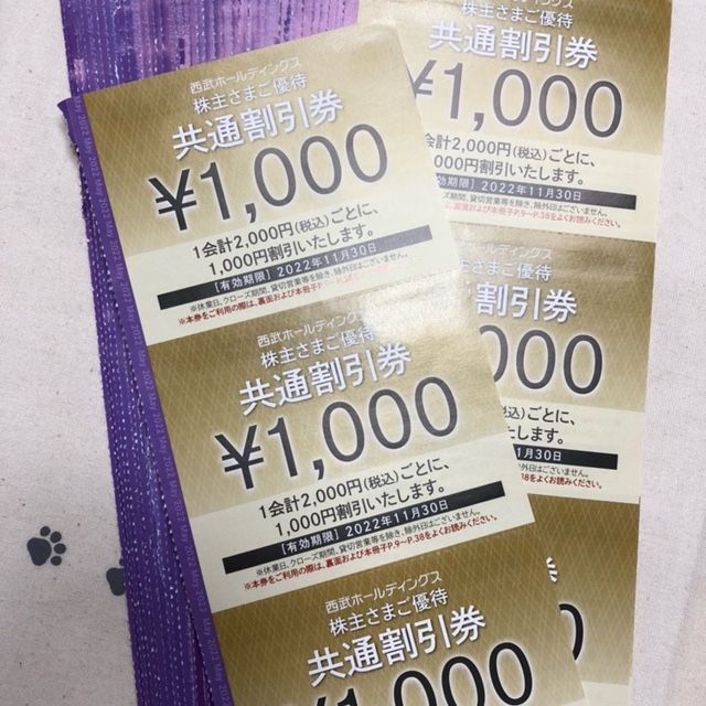 Prince(プリンス)の2万円分 共通割引券20枚 西武ホールディングス 株主優待券 チケットの優待券/割引券(ショッピング)の商品写真