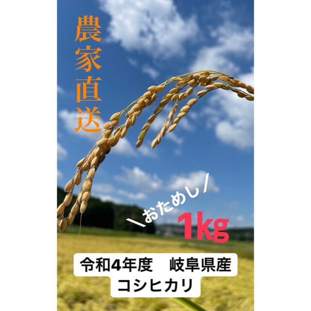 【 新米 令和4年度 岐阜県産】 コシヒカリ　1キロ 食品/飲料/酒の食品(米/穀物)の商品写真