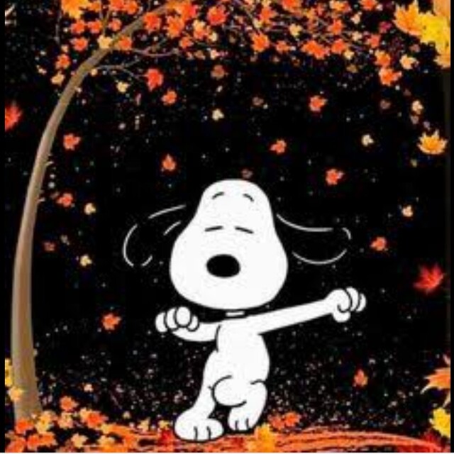 保障できる SNOOPY - mimi様専用 キャラクターグッズ