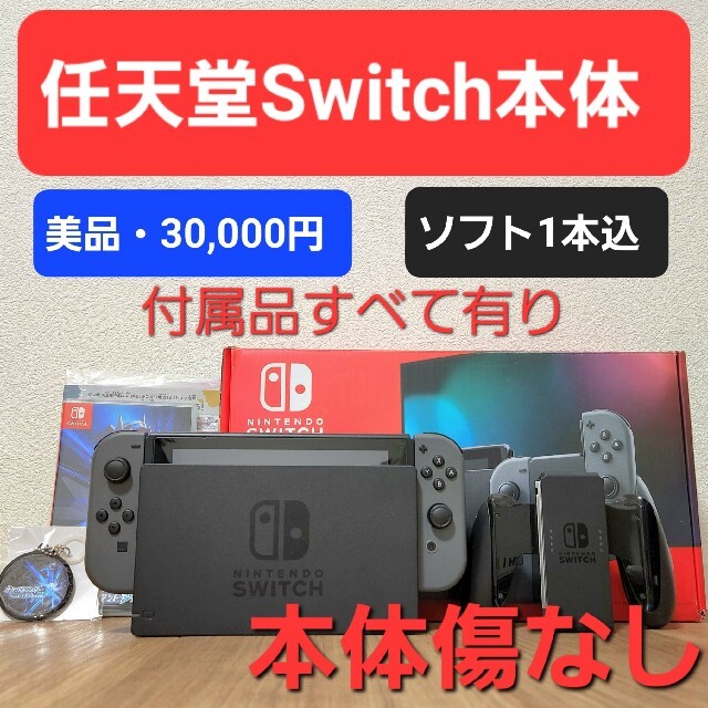 【美品・ソフト付き】Nintendo Switch(グレー)+ダイアモンド