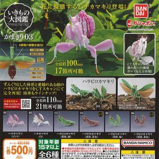 しーま様専用 いきもの大図鑑 カマキリ 3 ガチャガチャ(模型/プラモデル)