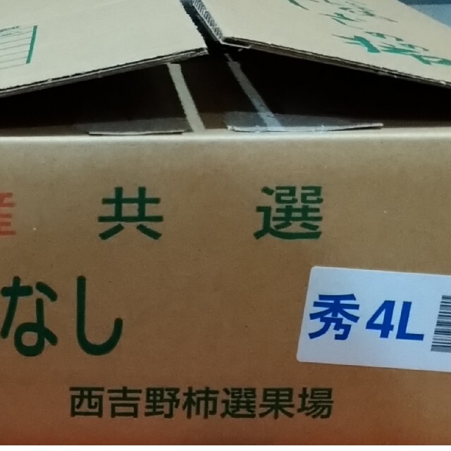 奈良県産★ひらたね無し柿【秀品】4Lサイズ10玉３kg以上 食品/飲料/酒の食品(フルーツ)の商品写真