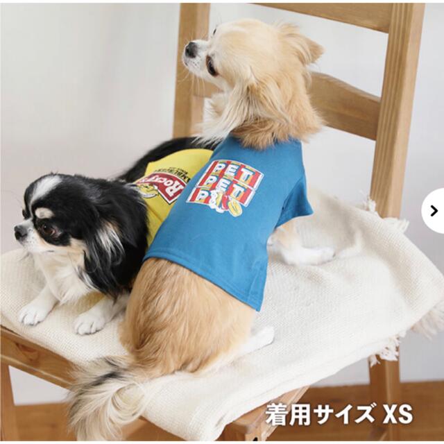 小型犬ウェア　オーサムストア　Mサイズ その他のペット用品(犬)の商品写真